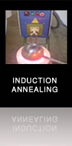 INDUCTION ANNEALING